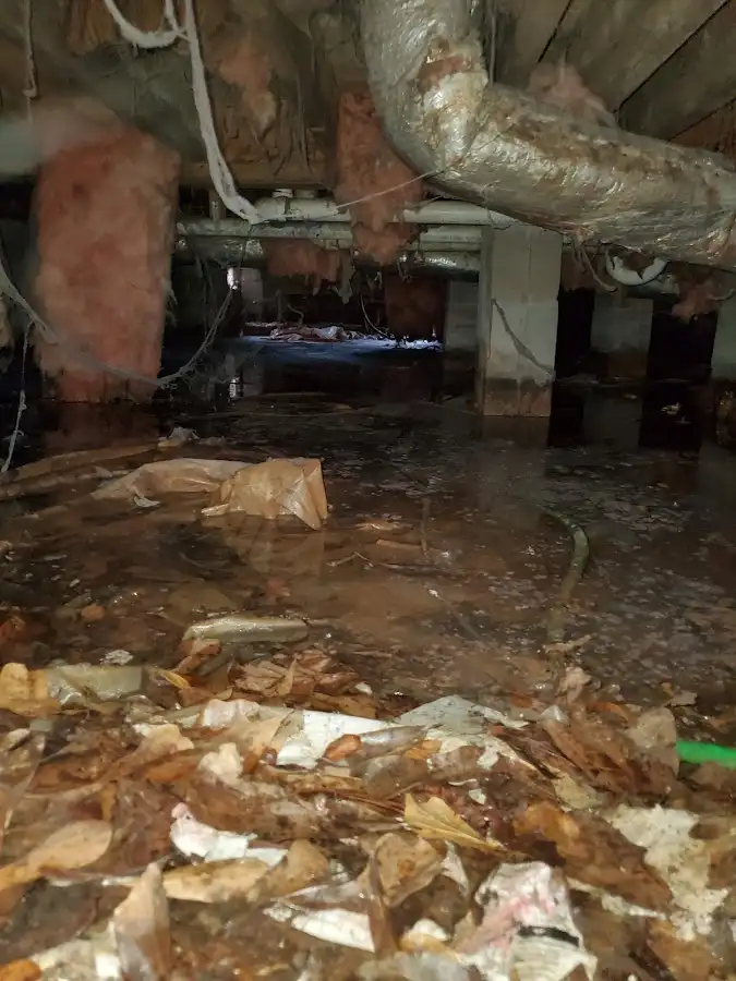 Crawl space flood assessment for Leak Detection & Repair in Hughson